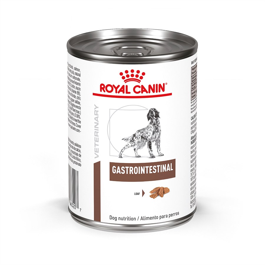 Royal canin best sale dog food salmon