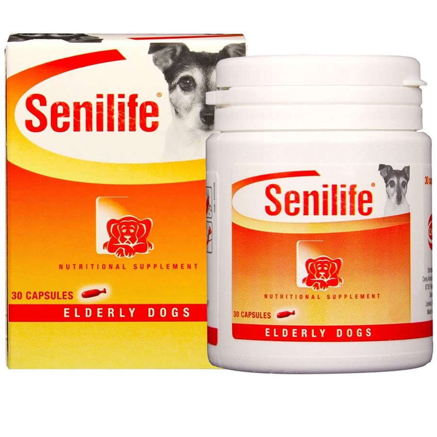 Senilife for dogs store