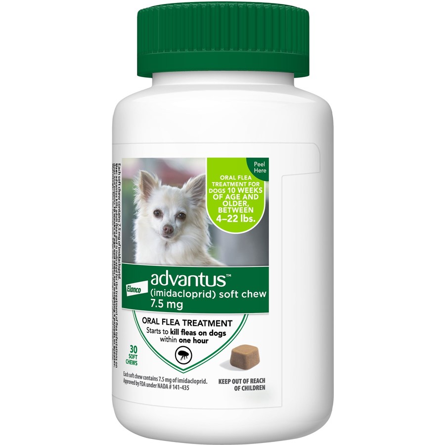 Non prescription oral flea medication clearance for dogs