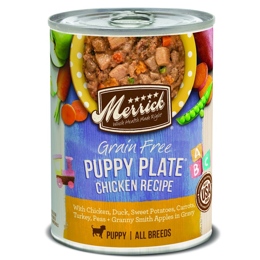 Dog food plate deals