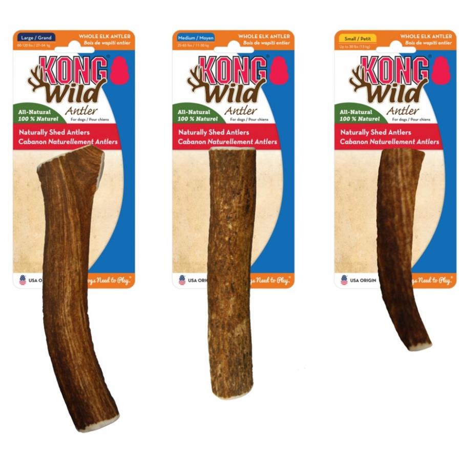 Kong discount antler large