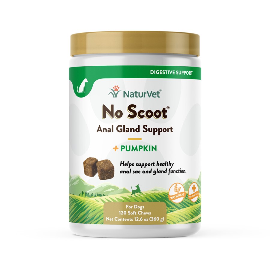 Buy NaturVet No Scoot plus Pumpkin Functional Soft Chews for Dogs