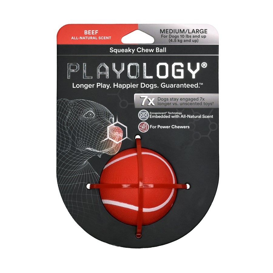 Playology ball 2025