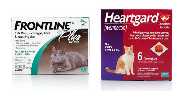 frontline-and-heartgard-for-cats