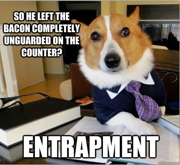 [Image: Lawyer-Dog-Bacon.gif]