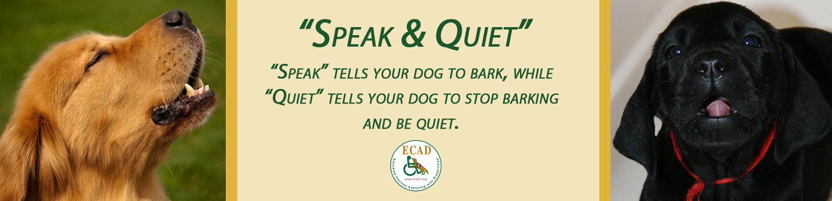 speak-banner