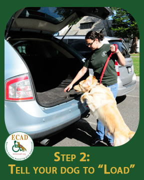 step-2-load step-2-load