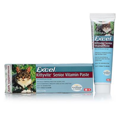 kitty-vite-senior kitty-vite-senior
