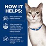 Thumbnail 17
