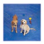 Icon representing category Kennels & Carriers