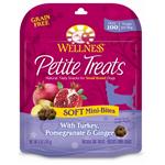 Wellness 2024 petite treats