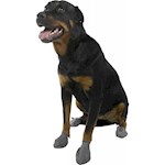 Thumbnail of Pawz Black Dog Boots