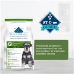 Icon representing category Blue Buffalo Natural Veterinary Diet