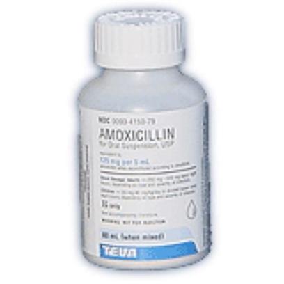 Image for About Liquid Amoxicillin Dosage for Dogs and Cats