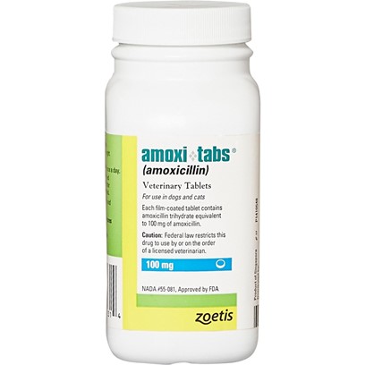 Image for Guide to Amoxi-Tabs (Amoxicillin Tabs) for Pets