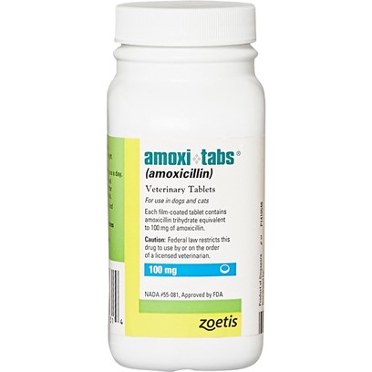 Amoxi Tabs Amoxicillin For Pets Antibiotic Petcarerx