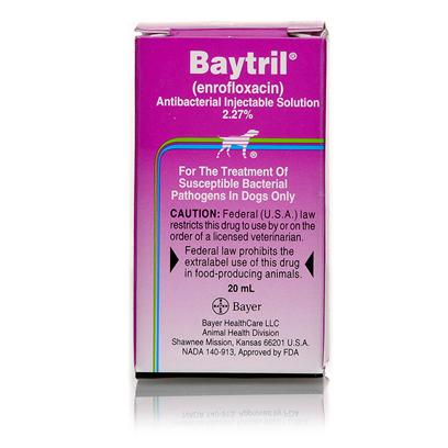 Baytril Injection Treating Bacterial Infections In Pets