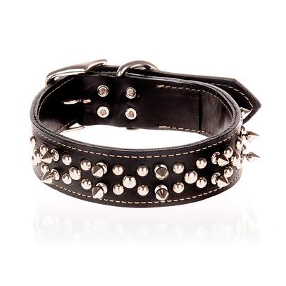 Buy Leather Spike Collar Online | PetCareRx