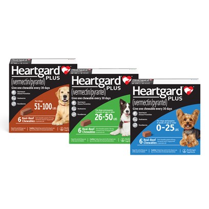 Heartgard Plus Chewables for Dogs PetPlus