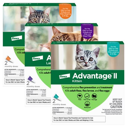 Image of Advantage II for Cats