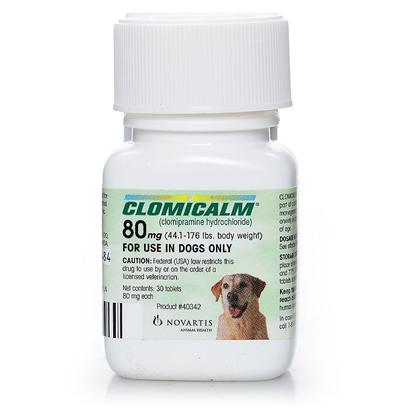 Image for About Clomicalm for OCD and Anxiety in Dogs