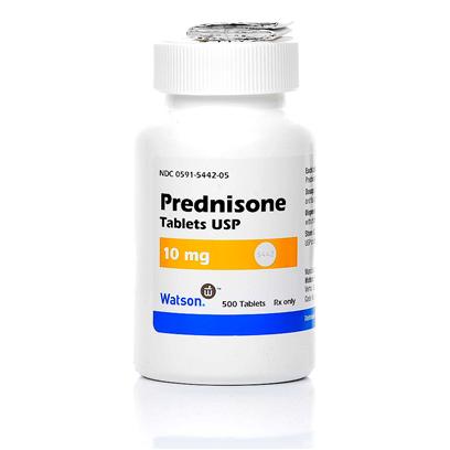 Image for Using Prednisone for Pet Autoimmune Treatment