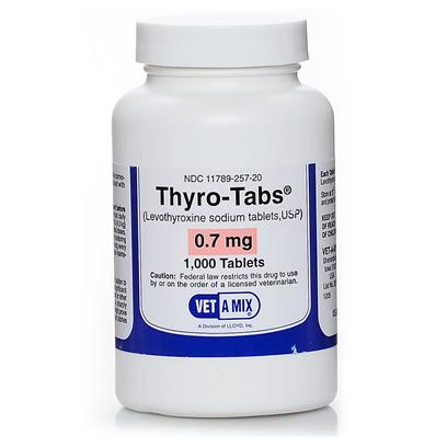 Image for Using Thyro-tabs to Treat Hypothyroidism in Dogs