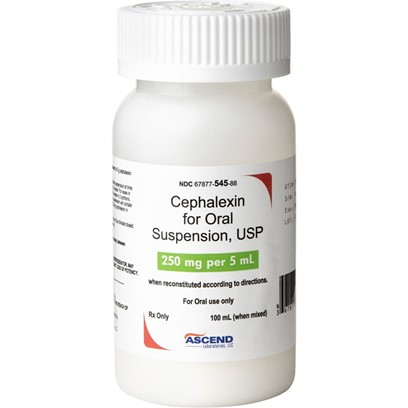 Image for About Cephalexin Oral Suspension - Pet Infections