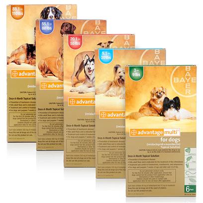 Image for Using Advantage Multi for Dogs Prevents Heartworm