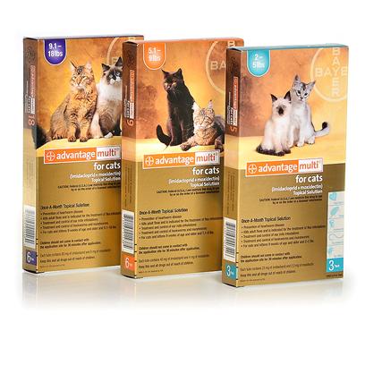 Advantage 2 store multi for cats