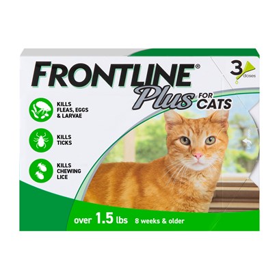 Using frontline plus for dogs store on cats