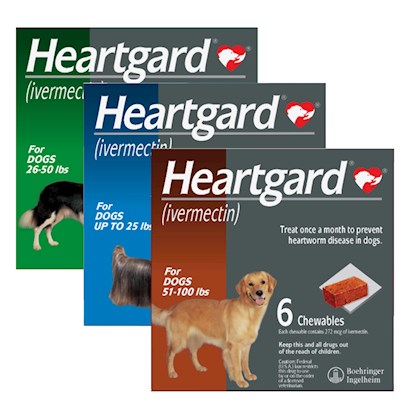 common heartworm medication for dogs