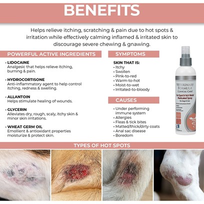 Veterinary Formula Hot Spot & Itch Spray for Pets - PetCareRx