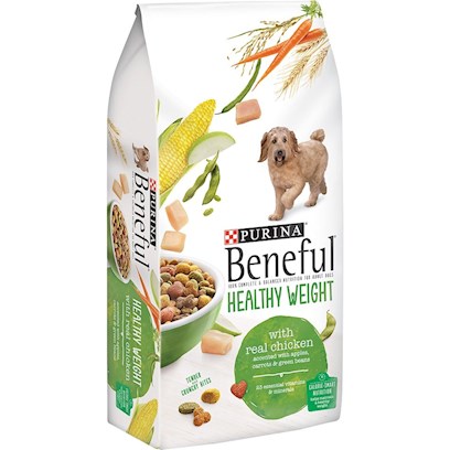 healthy pets food