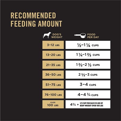 Buy Purina Pro Plan Savor Shredded Blend Beef and Rice Dry Food for ...