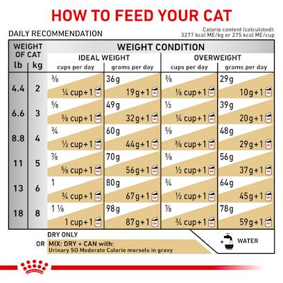 Urinary Moderate Calorie Royal Canin Dry Cat Food - Petcarerx