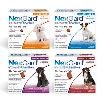 Nexguard shop flea pill