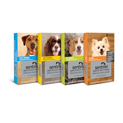 Image of Sentinel Spectrum Chews for Dogs