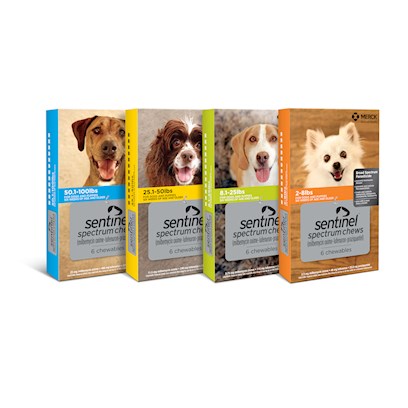 Sentinel Spectrum Heartworm & Flea Chews for Dogs - PetCareRx