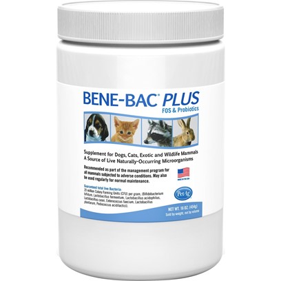 BeneBac Plus Pet Powder