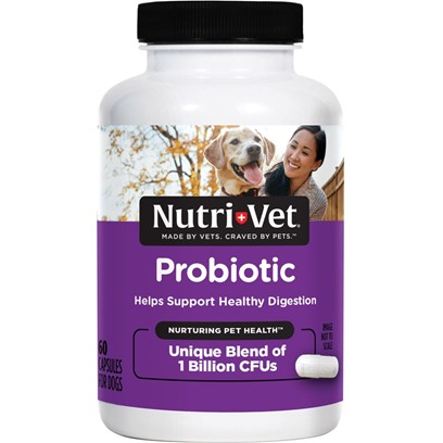 Nutri-Vet Probiotics for Dogs