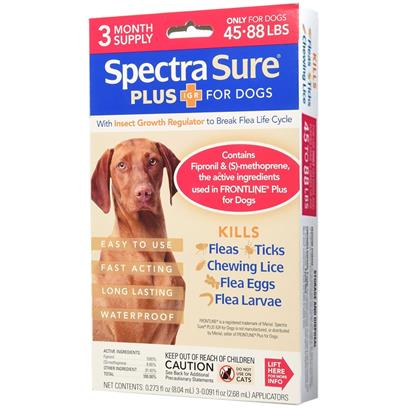 Spectra Sure Plus for Dogs 45 to 88 lbs Spectra Sure Plus provides effective control of flea tick and chewing lice infestations through the effective ingredients Fipronil and Cyphenothrin Fipronil is capable of attacking adult fleas and ticks on contact while Cyphenothrin enhances efficacy and grants faster relief Full Pest Protection Using the dual action of Fipronil and Cyphenothrin Spectra Sure Plus can effectively break the flea life cycle by eliminating fleas before they lay eggs This formula will kill adult fleas and ticks in as little as one hour The importance of controlling pests goes beyond relieving a nuisance it may also help to prevent infections Mites may cause sarcoptic mange while ticks have been linked to the transmission