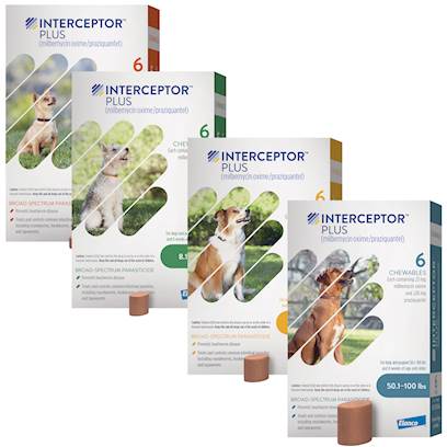 Best price interceptor clearance plus for dogs