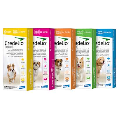 Photos - Dog Medicines & Vitamins Credelio 6.1 - 12.0 lbs, 6pk