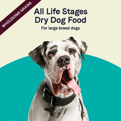 canidae life stages large breed puppy