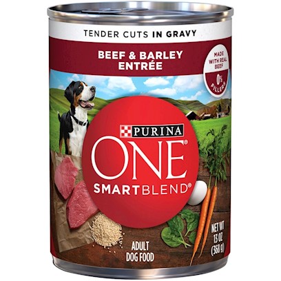 Purina ONE Tender Cuts Wholesome Beef and Barley Canned Dog Food