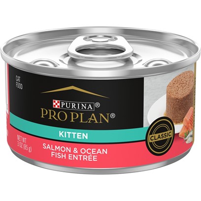 Purina Pro Plan Focus Kitten Classic Salmon and Ocean Fish Entree Canned Cat Food