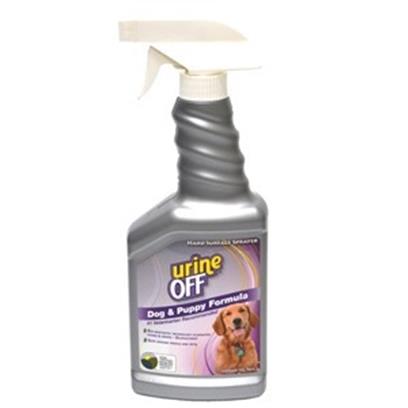dog urine off carpet