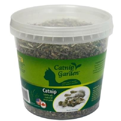 MultiPet Catnip Garden Catnip Cup for Cats