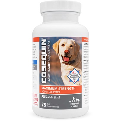 Cosequin Maximum Strength Joint Support Plus MSM & Hyaluronic Acid